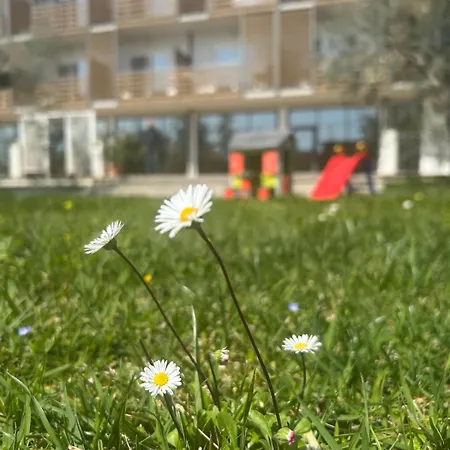 Elaia Garden Hotell Sperlonga