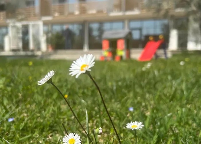 Elaia Garden ホテル スペルロンガ